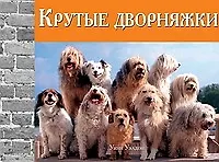 Крутые дворняжки - фото 1