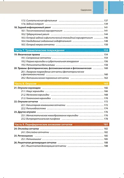 Оптическая когерентная томография сетчатки - фото 4