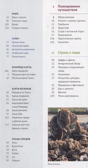 Тунис: Путеводитель + карта - фото 2