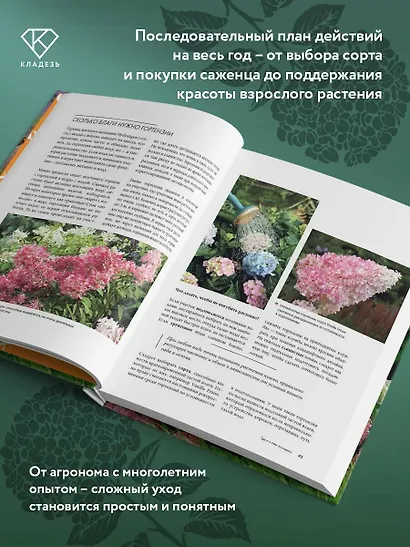 Гортензии. Выращиваем, ухаживаем и наслаждаемся в любом саду - фото 5