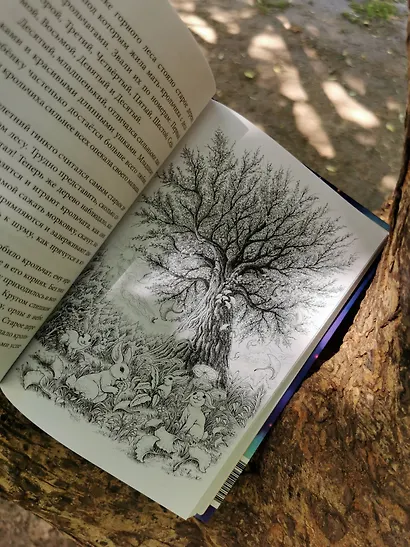 Книжный лес - фото 11