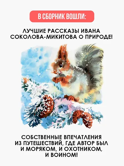 Русский лес - фото 5