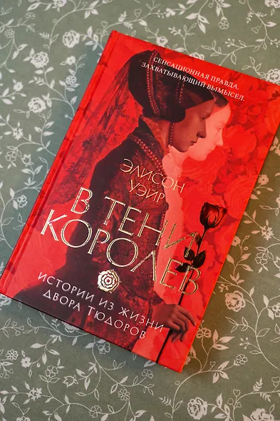 В тени королев: истории из жизни двора Тюдоров - фото 7