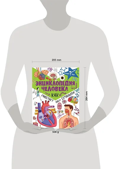 ПочемуЗачемКак? Энциклопедия человека: как работает наш организм - фото 3