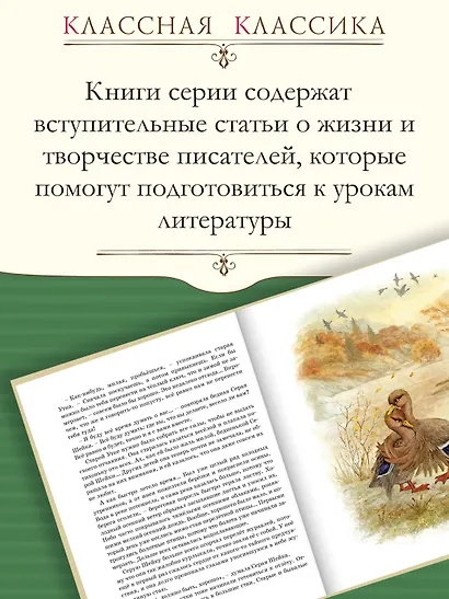 Серая шейка. Рассказы - фото 4