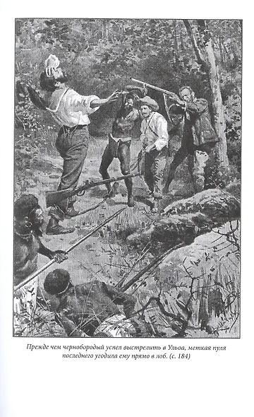 Сокровище Голубых гор - фото 6