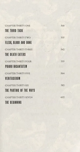 Harry Potter & the Goblet of Fire - фото 5