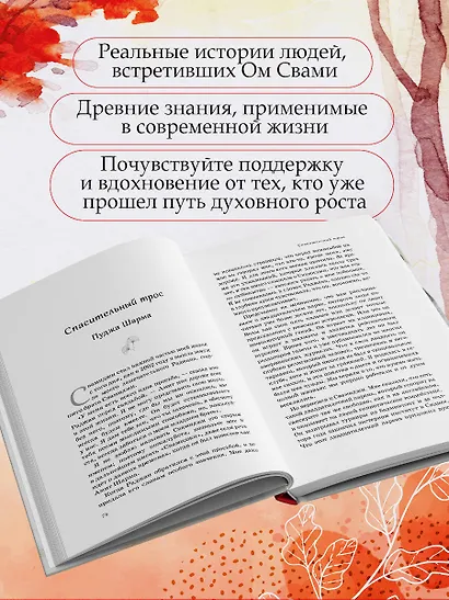 Говорящий с дождем. Чудеса и истории исцеления Ом Свами - фото 5