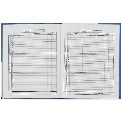 Дневник школьный Феникс+, "Большой спорт" - фото 2