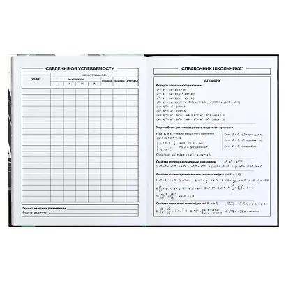 Дневник школьный «Городской стиль», Феникс+ - фото 3