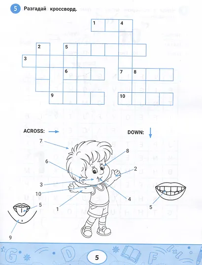 Английский словарик: человек, семья, работа - фото 3