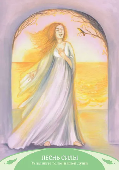 Оракул жизненной силы. Набор карт шаманской практики - фото 4