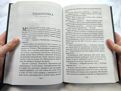 Леди Дым (#2) - фото 6