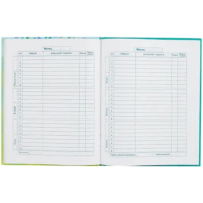 Дневник для младших классов Феникс+, "Мечтатель" - фото 2