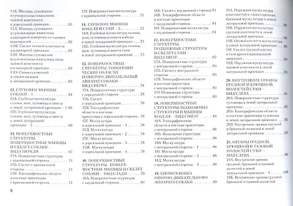 Топографическая анатомия собаки - фото 3