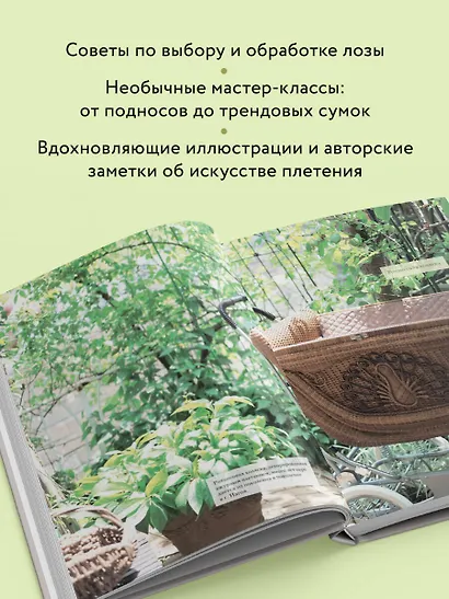 Плетение из лозы. 150 японских техник. Основы, техники, узоры, мастер-классы - фото 5