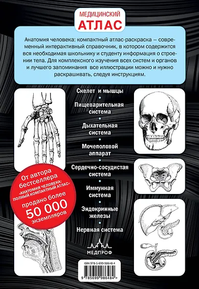 Анатомия человека: компактный атлас-раскраска - фото 2