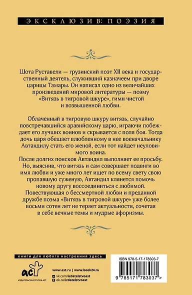 Витязь в тигровой шкуре - фото 2