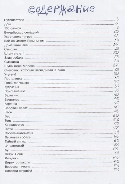 Сто слонов. Новые рассказы о Саньке - фото 6