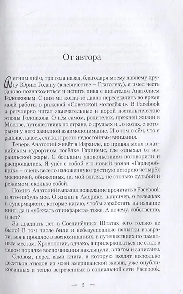 Винегрет. Этюды из моей американской жизни - фото 2