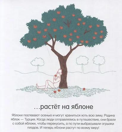 Как они растут? - фото 3