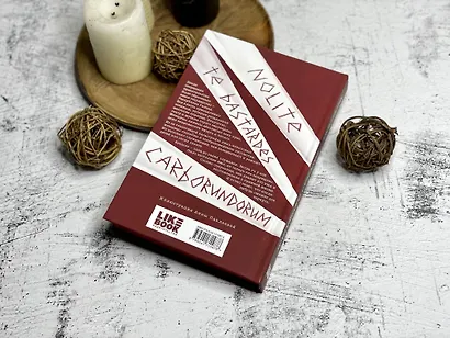 Рассказ Служанки - фото 9