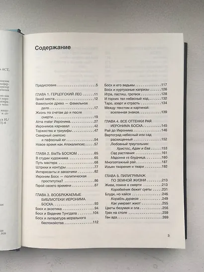 Код средневековья. Иероним Босх - фото 6