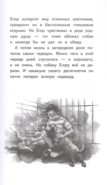Мой пёс Тайфун - фото 12