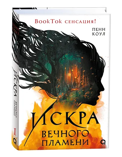 Искра вечного пламени - фото 4