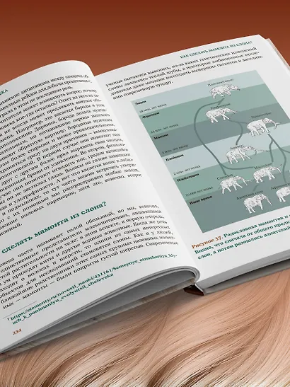 Волосы. Иллюстрированное пособие для врачей, трихологов и парикмахеров - фото 7