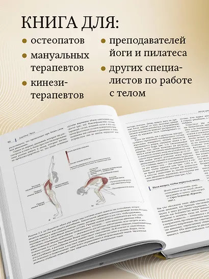 Функциональная анатомия движения. Руководство по анализу биомеханики и работе с миофасциальными меридианами - фото 5