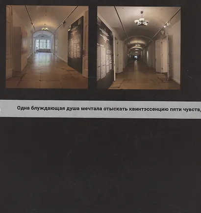 Квинтэссенция пяти чувств - фото 3