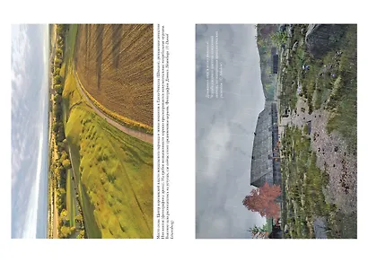 История викингов. Дети Ясеня и Вяза - фото 5