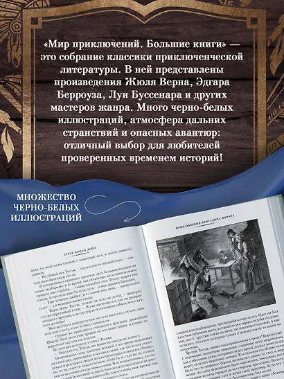 Приключения бригадира Жерара - фото 8