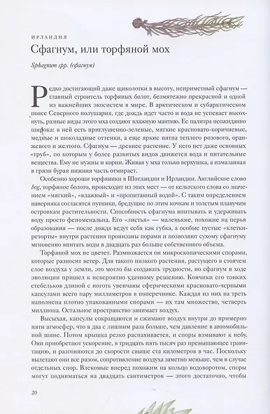 Вокруг света за 80 растений - фото 10