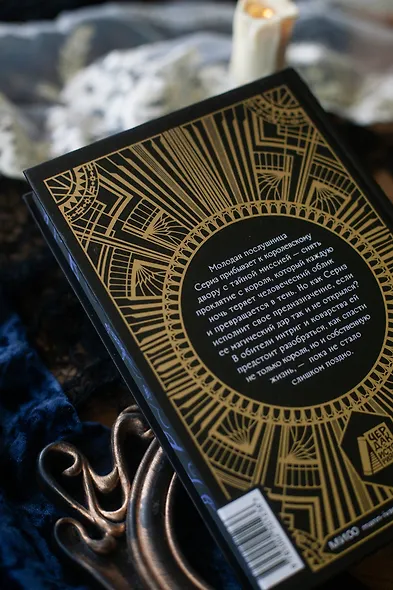 Тень короля - фото 12