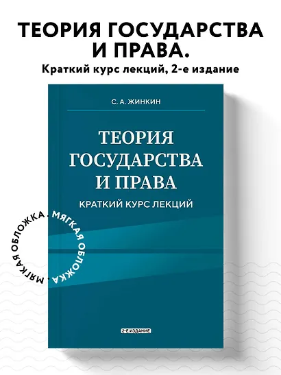 Теория государства и права. Краткий курс лекций - фото 4