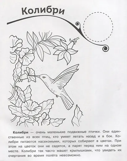 Кто живет в джунглях? Раскраска + большие наклейки внутри - фото 3