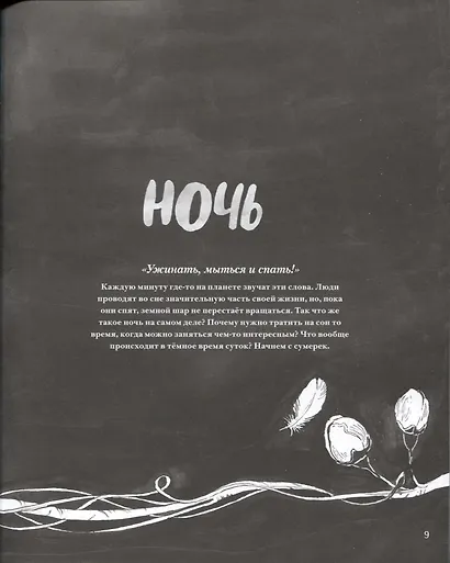 Ночь. Книга о сне и тайнах темноты - фото 5