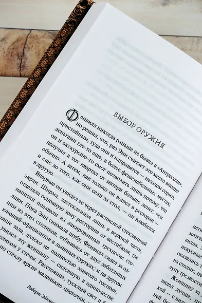 Темные проемы. Тайные дела - фото 9