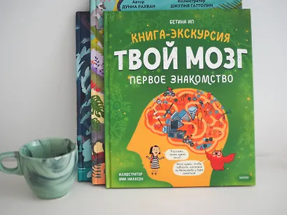 Твой мозг. Книга-экскурсия. Первое знакомство - фото 7