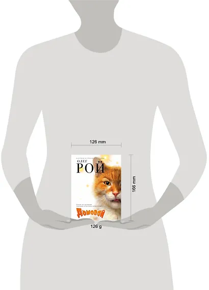 Домовой - фото 4