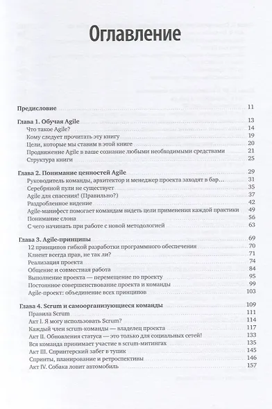 Постигая Agile. Ценности, принципы, методологии - фото 3