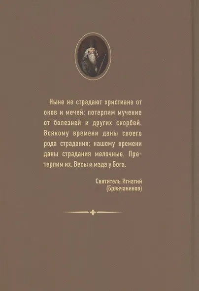 Утешение в болезни и смерти Избранное из писем Святитель Игнатий Брянчанинов - фото 2