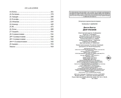 Двор Ураганов (#3) - фото 10