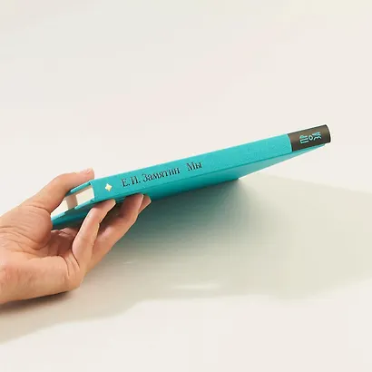 Мы. Роман - фото 12