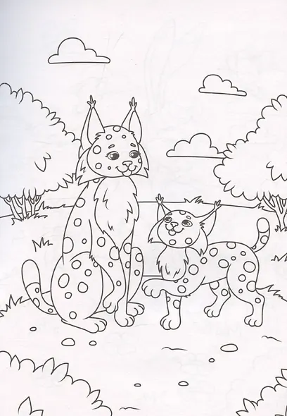 Раскраска А5 эконом. Мамы и малыши - фото 3