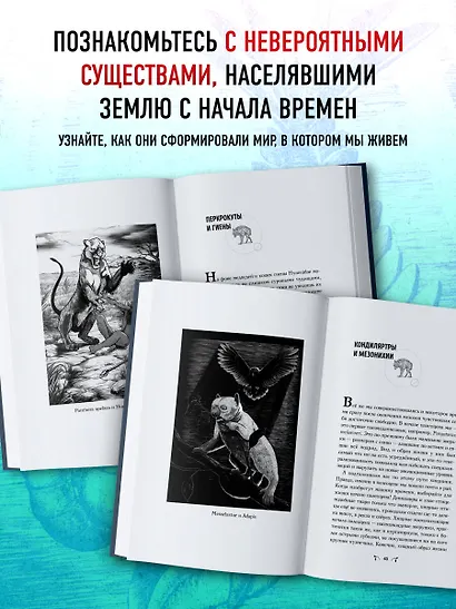 Чудища Эдема. Трилобиты, аномалокарисы, ракоскорпионы и другие монстры - фото 5
