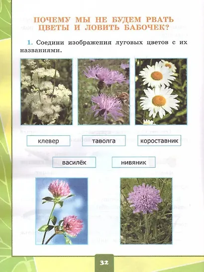 Окружающий мир. 1 класс. Тетрадь для практических работ № 2 с дневником наблюдений. К учебнику А.А. Плешакова «Окружающий мир. 1 класс. В 2-х частях». ФГОС НОВЫЙ - фото 4