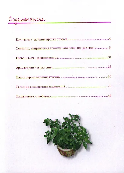 Цветы в доме. Фитодизайн для вашего здоровья. - фото 3
